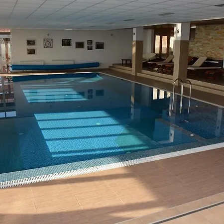 Milmari 43 Premier Pollo *